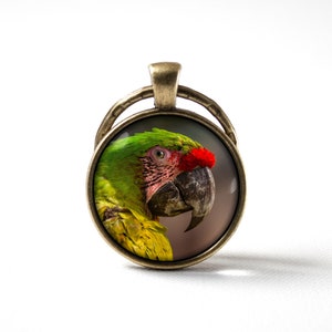 Parrot Bird jewelry Key chain Tropical Safari Zoo jewelry Parrot jewelry Keyring Jungle Bird jewellery Key holder Key fob Parrot bird Gifts