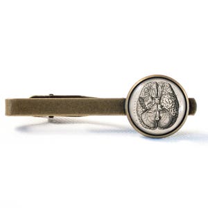 Brain tie clip Anatomical brain tie clip Human brain Brain jewelry Professor gift Biology tie clip Brain tie bar Science gift Goth jewelry