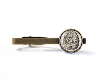 Brain tie clip Anatomical brain tie clip Human brain Brain jewelry Professor gift Biology tie clip Brain tie bar Science gift Goth jewelry