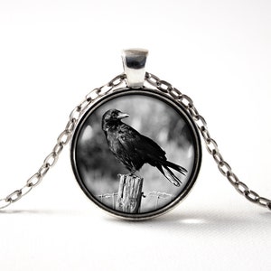 Krähe Vögel Schwarzer Vogel Halskette Rabe Krähe Schmuck Raben Schmuck Schwarze Krähe Anhänger Vogel Halskette Goth Hexerei Geschenkidee Rabe Halskette