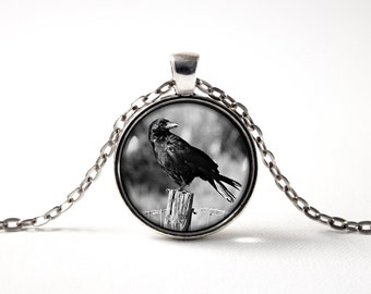 Crow Birds Black bird necklace Raven Crow jewelry Raven jewellery Black crow pendant Bird necklace Goth Witchcraft Gift idea Raven necklace