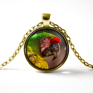 Parrot necklace Parrot pendant Parrot bird gifts Parrot jewelry Jungle Gift for sister Bird necklace Bird jewellery Zoo Parrot gift Safari