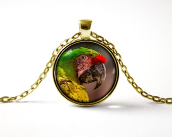 Papagei Halskette Papagei Anhänger Papagei Vogel Geschenke Papagei Schmuck Dschungel Geschenk für Schwester Vogel Halskette Vogel Schmuck Zoo Papagei Geschenk Safari