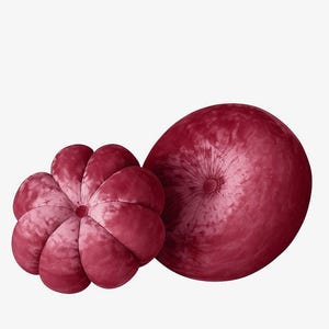 Dusty rose velvet round & flower pillow