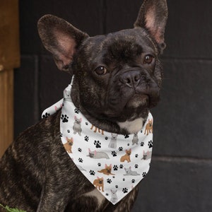 May include: A brindle French Bulldog wearing a white bandana. The bandana is patterned with illustrations of French Bulldogs in various poses and black paw prints. The dog is sitting and looking directly at the camera.