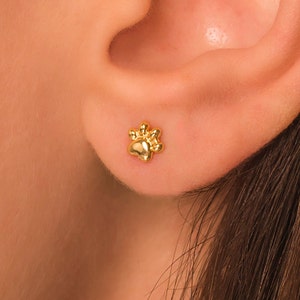 Paw Stud Earrings • Dog Cat Print Small Stud Earrings in 18K Gold Sterling Silver • Cartilage • Helix • Conch • Tragus • Daith