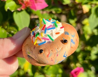 Rainbow Muffin Top Frog | Handmade Polymer Clay Frog Figurine INEDIBLE!!