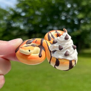 Photo inspiration: Visual Reference: Pancake Snakes Polymer Clay Snake Figurine Inedible