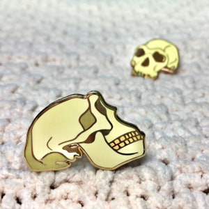 Homo erectus Skull Enamel Pin | archaeology enamel pin, science enamel pin, anthropology enamel pin, history lapel pin, skull brooch
