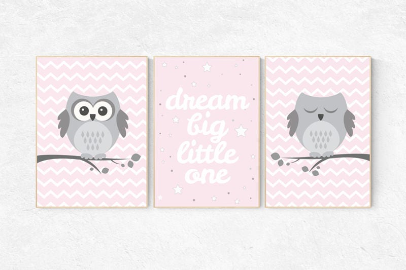 Pink nursery decor, Owl nursery wall art, dream big little one, baby
