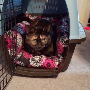 Cat Carrier Bed ONLY - Medium
