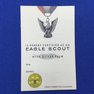Vintage 1971 Boy Scout Eagle Scout Rank Card With Silver Palm
