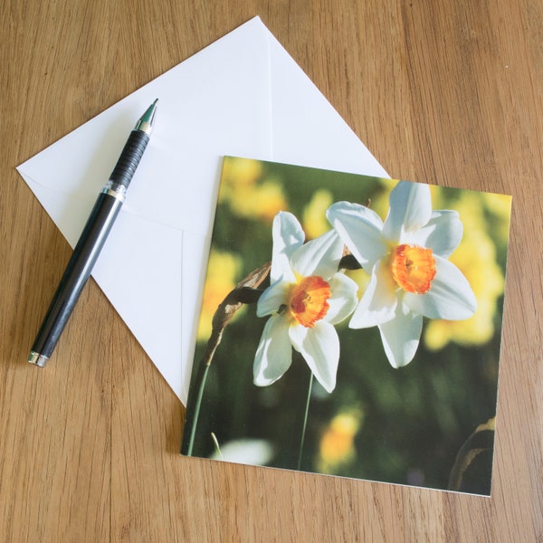 Daffodil Greetings card 14cm square