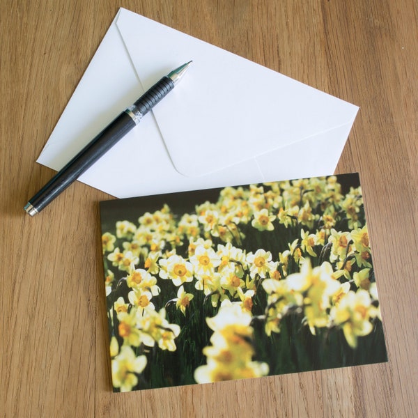 Flower Greetings card C6 - Daffodils