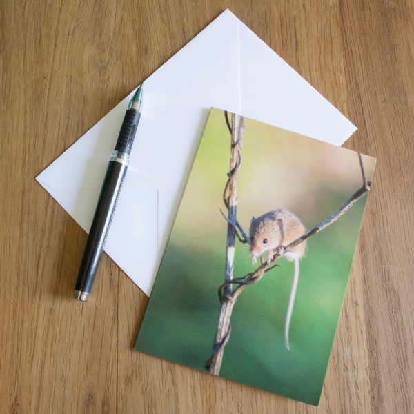 Wildlife Greetings card C6 Portrait - Harvest Mouse