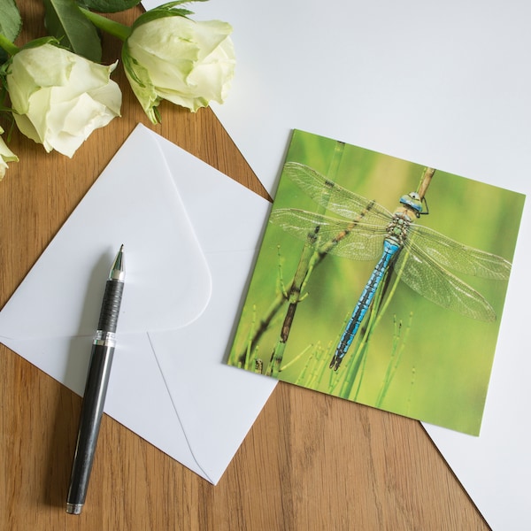 Dragonfly Greetings card 14cm square