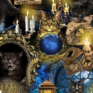 Mystical Spooky Black Cats (CAT-CD8644) by Timeless Treasures HALF YARD