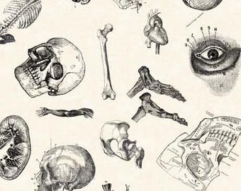 True Detectives - Anatomy Toss (30718 E) on Beige for QT Fabrics HALF YARD