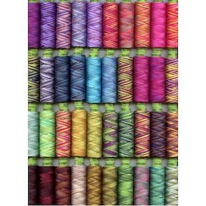 Sue Spargo Eleganza Thread 8 wt Perle Cotton - Variegated Colors