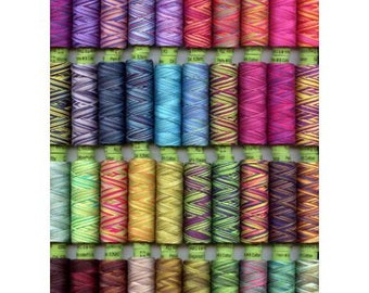 Sue Spargo Eleganza Thread 8 wt Perle Cotton - Variegated Colors