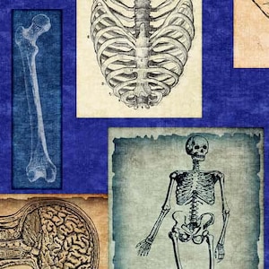 May include: A collage of vintage anatomical illustrations featuring a human skeleton, rib cage, and a long bone. The images are printed on a blue background.