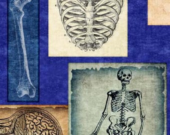 True Detective - Anatomy Patches (30717 Y) on Royal for QT Fabrics HALF YARD