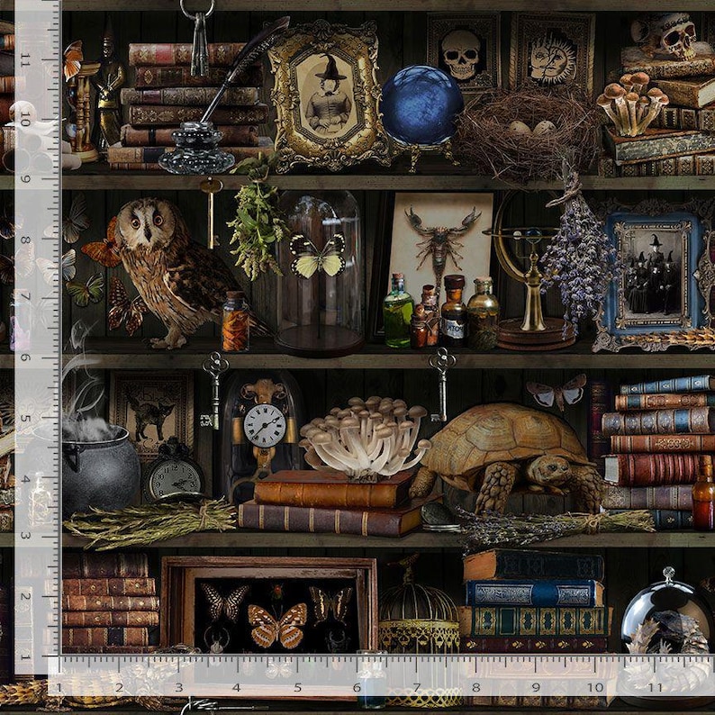 May include: A vintage-style bookshelf filled with books, potion bottles, and other magical objects. The shelf is decorated with a skull, a crystal ball, and a butterfly. The shelf is made of dark wood and has a rustic look.
