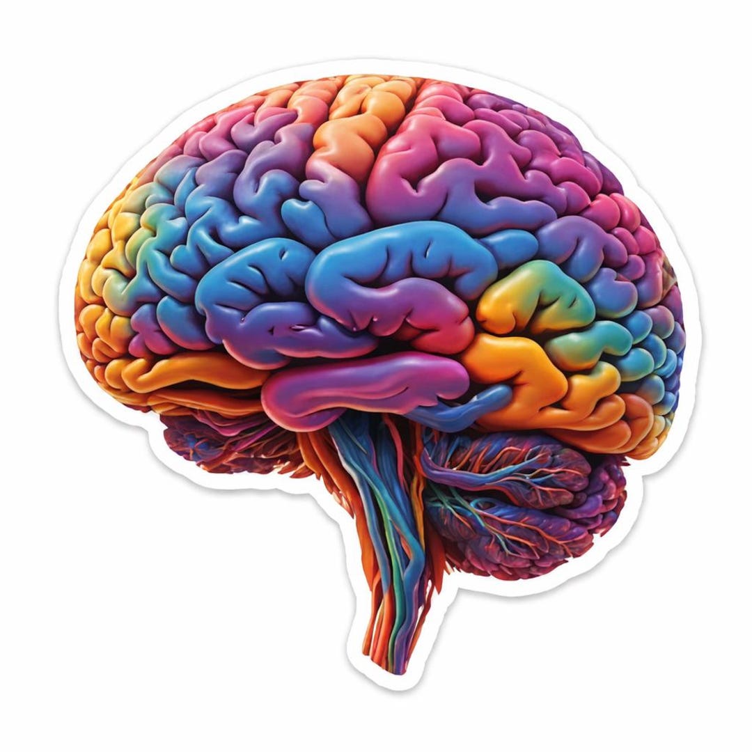 Brain Sign Sticker Brain Sticker, Colorful Brain Decal, Psychology Sticker, Science Vinyl ...