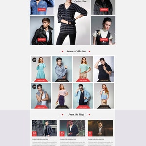 Web design to complete Wordpress website with woocommerce customization (online shop)