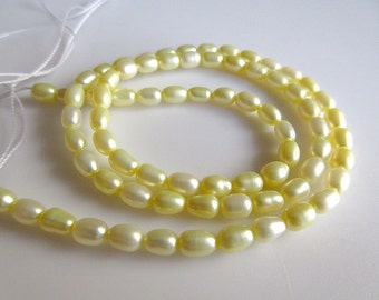 Seed Pearls, Fresh Water Pearls, Loose Pearls, Fancy Pearls, Yellow Pearls, 15 Inches, 4x5mm Each, SKU-FP6