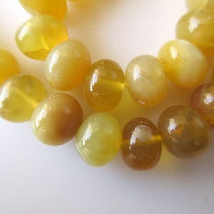 May include: A strand of yellow opal beads, each bead is smooth and round with a slight pearlescent sheen.