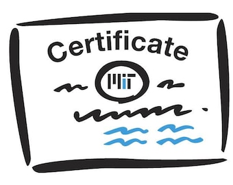 Diamantcertifiering för ett enskilt smycke att laddas ner online