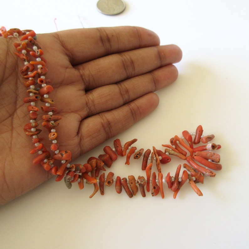 May include: A strand of orange coral beads with small white beads interspersed throughout. The beads are strung on a thin cord and are displayed on a hand.