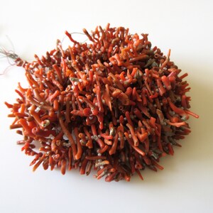 May include: A strand of red coral beads with small white beads interspersed throughout. The coral is a natural, branch-like shape.