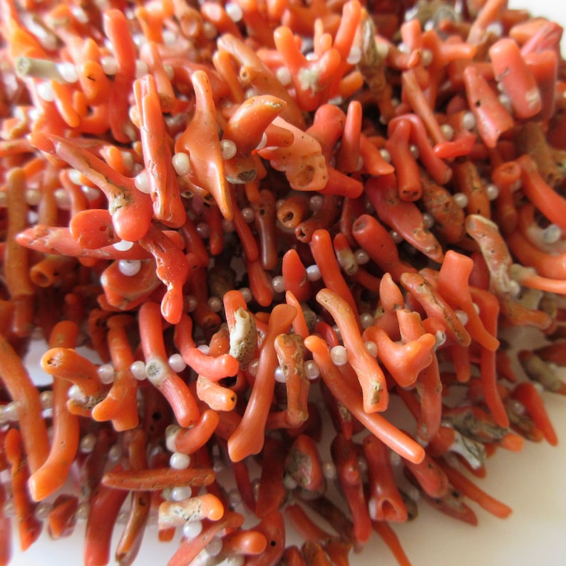 May include: A close-up of a coral necklace with small white beads. The coral is a bright orange-red color and the beads are interspersed throughout the necklace.