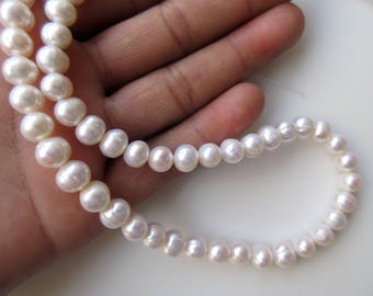 May include: A strand of white freshwater pearls, strung on a white thread. The pearls are round and smooth, with a slight iridescent sheen.