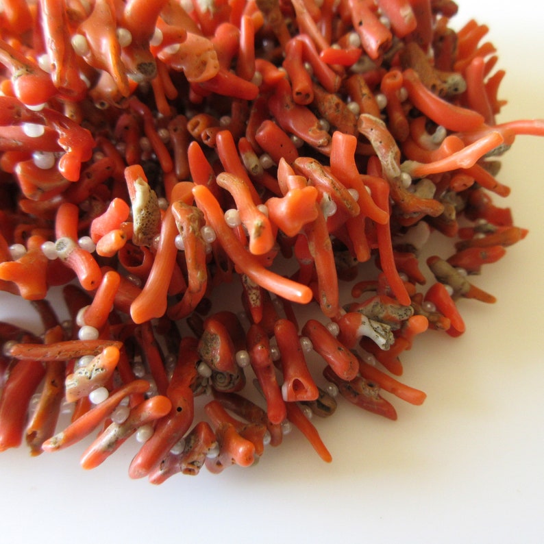 May include: A close-up of a coral necklace with small white beads. The coral is a bright orange-red color and the beads are interspersed throughout the necklace.