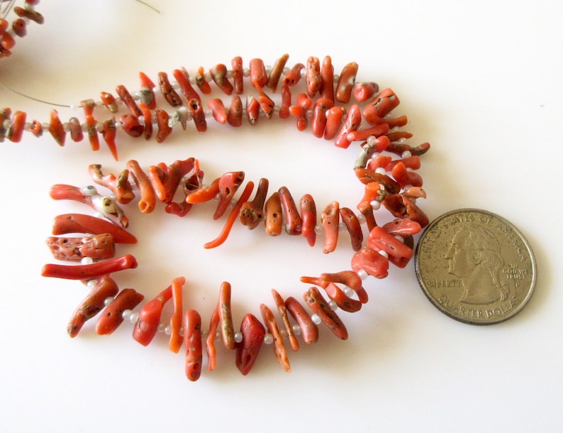 May include: A strand of coral beads with a reddish-orange color. The beads are irregular in shape and size, and some have a rough texture. A US quarter is included for scale.