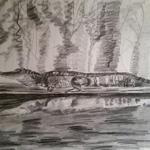 Swamp Dog