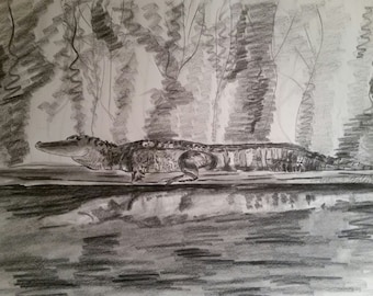 Louisiana Alligator Graphite Drawing | Cypress Swamp Original Art, 14x17