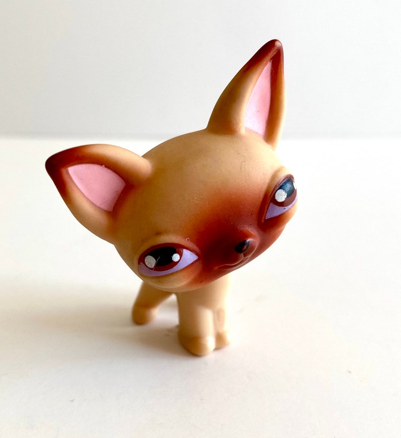 lps chihuahua 765
