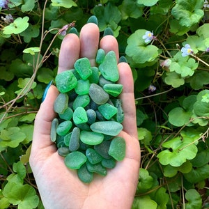 1/4 lb of Irregulsr Shaped Green Sea Glass