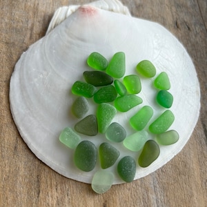Shades of Green Sea Glass