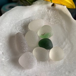 Round Sea Glass Pieces