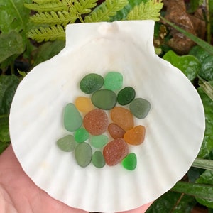 Amber, Brown & Green Sea Glass