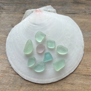 Blue & Purple Sea Glass Mix
