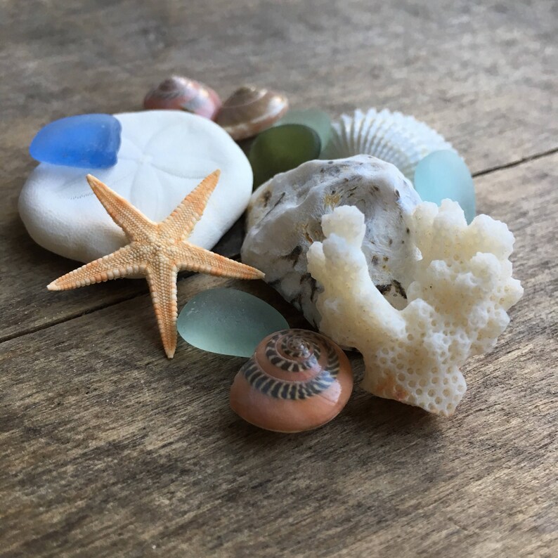 Treasure Shell Beach Treasure Bags - Etsy