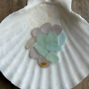 Genuine Purple & Blue Sea Glass