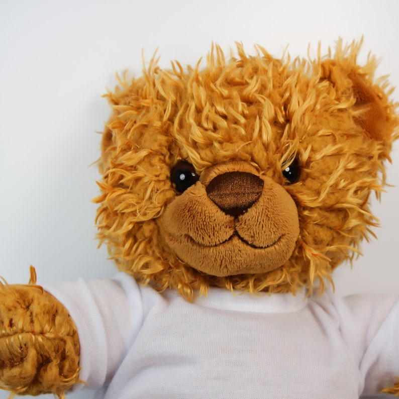 teddy bear customised