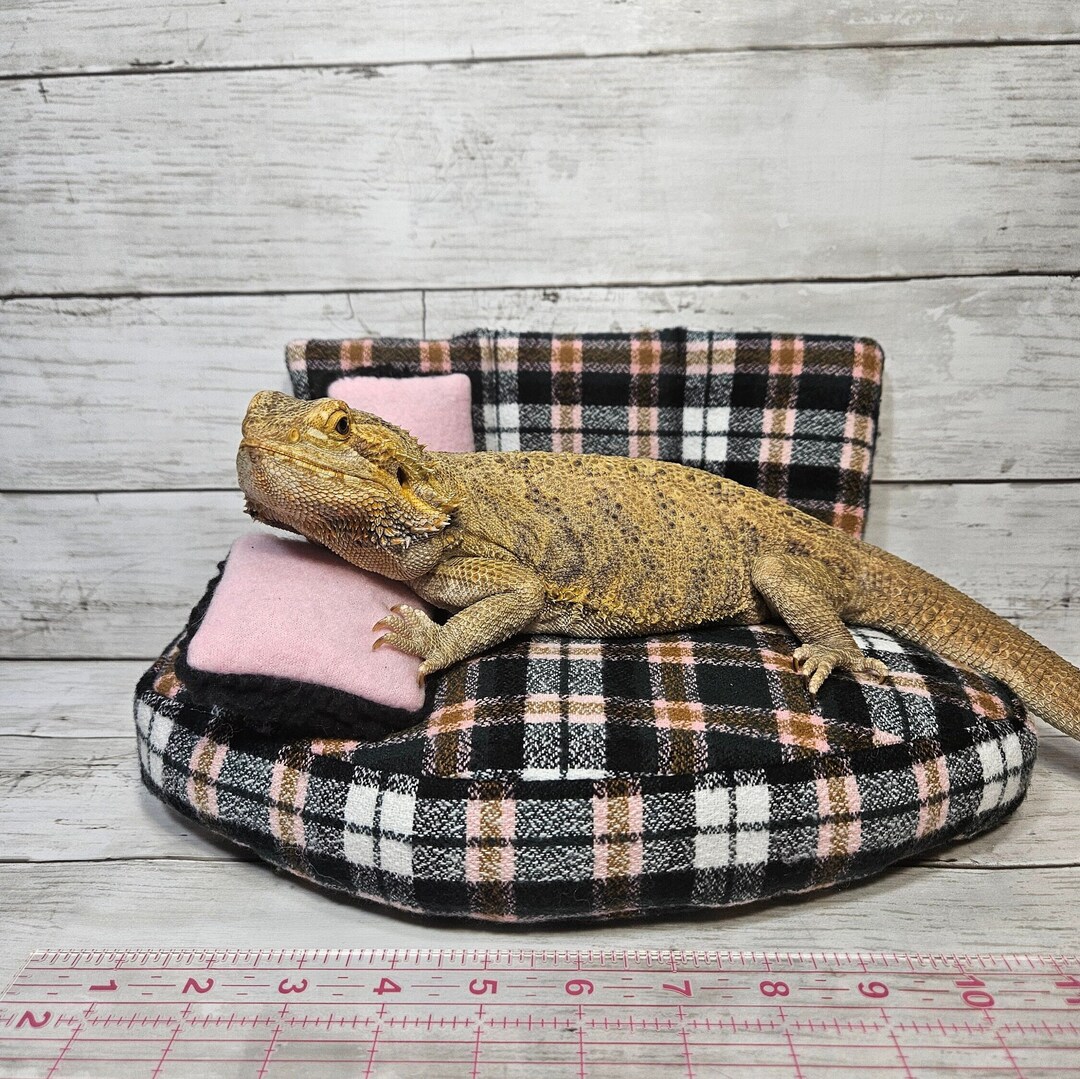 Bearded Dragon Couch Bearded Dragon Bed Bearded Dragon Giant Etsy
